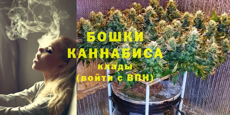 МАРИХУАНА сатива  Белый 